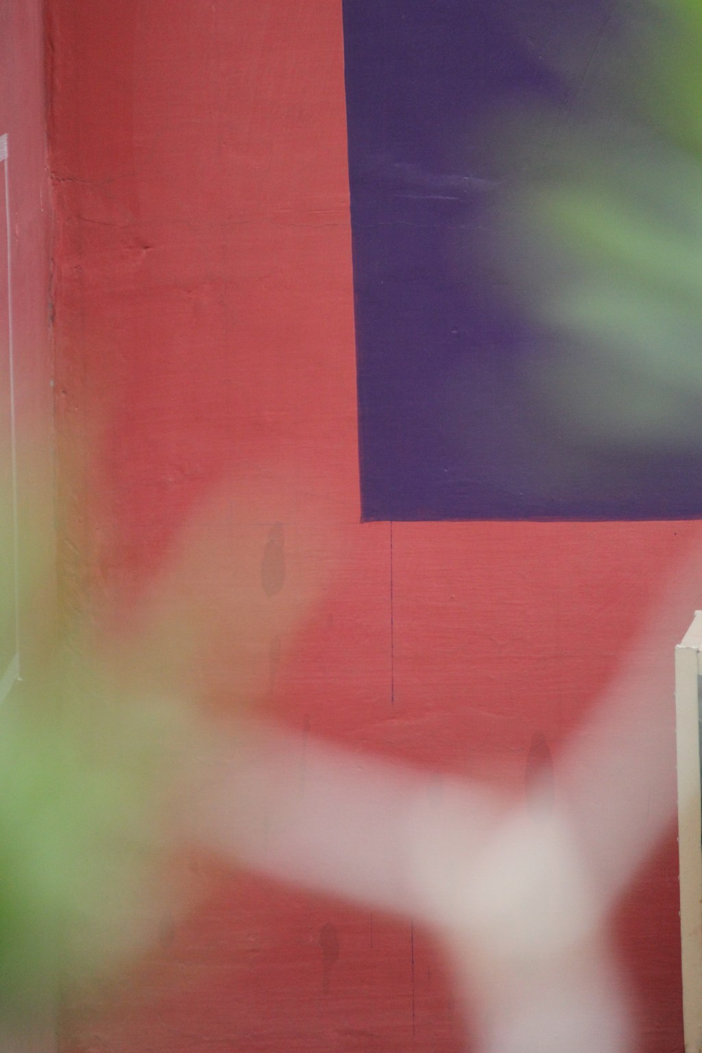 The year in three dreams / Saudamini&nbsp;Deo