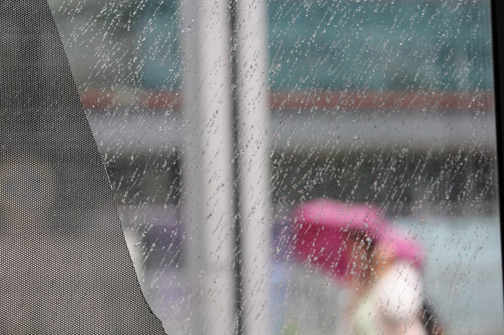 Wet Rose Dress / M & Mrs&nbsp;Hyde