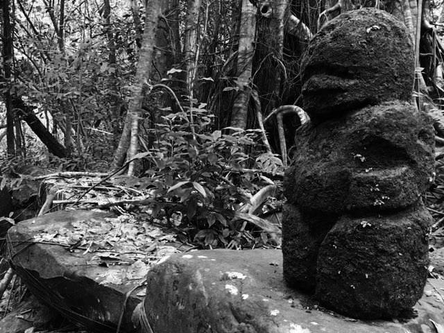 Mana, Tiki, and a question / Philippe&nbsp;Charlier