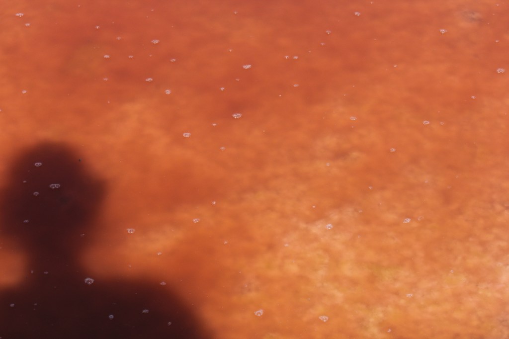 City, from cité, from civitas, from civis, from key (meaning: to lie down, settle, home, love, beloved) / M and Mrs&nbsp;Hyde