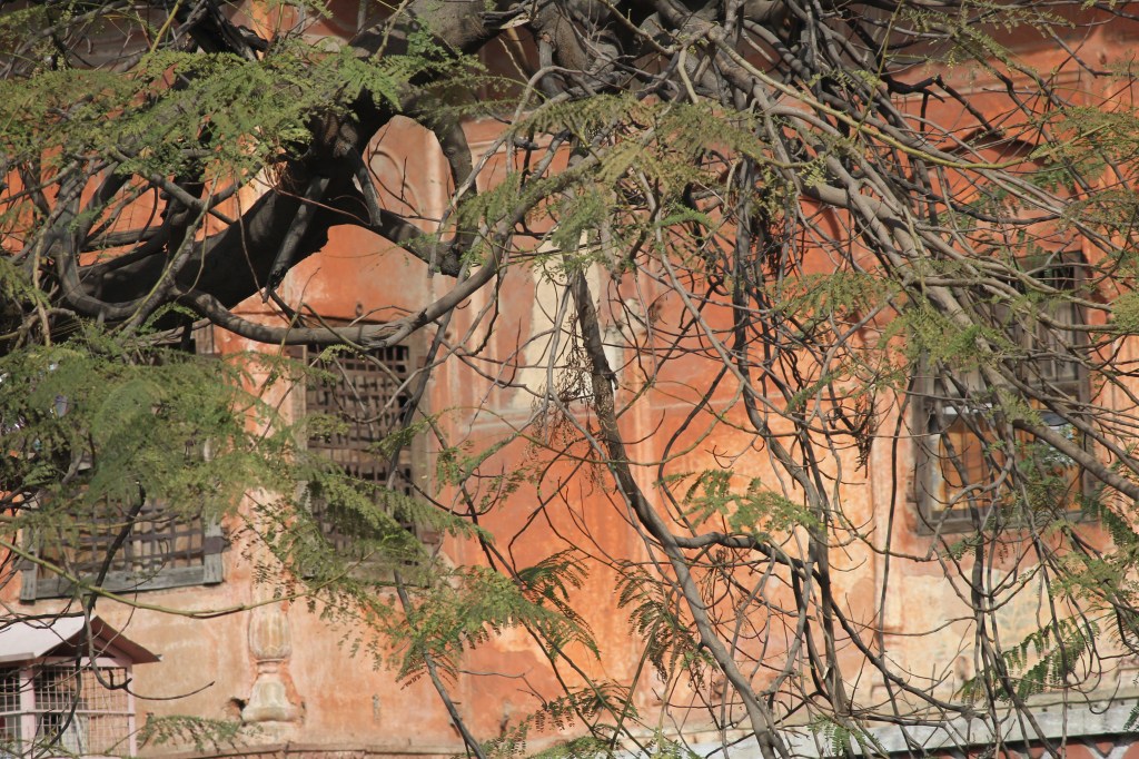 After Scent /&nbsp;Dee