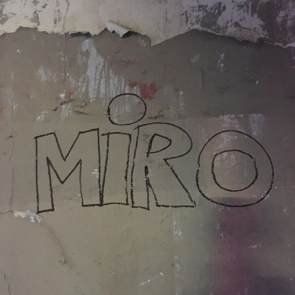 Abandoned / Mini S.&nbsp;Menon