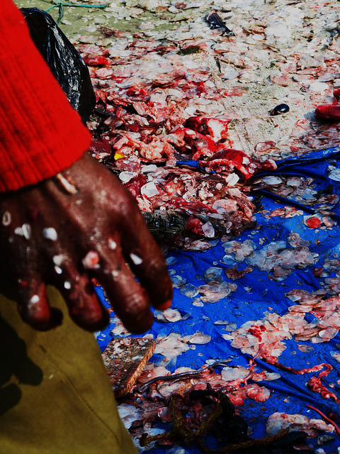 Liquid / Scott Manley&nbsp;Hadley