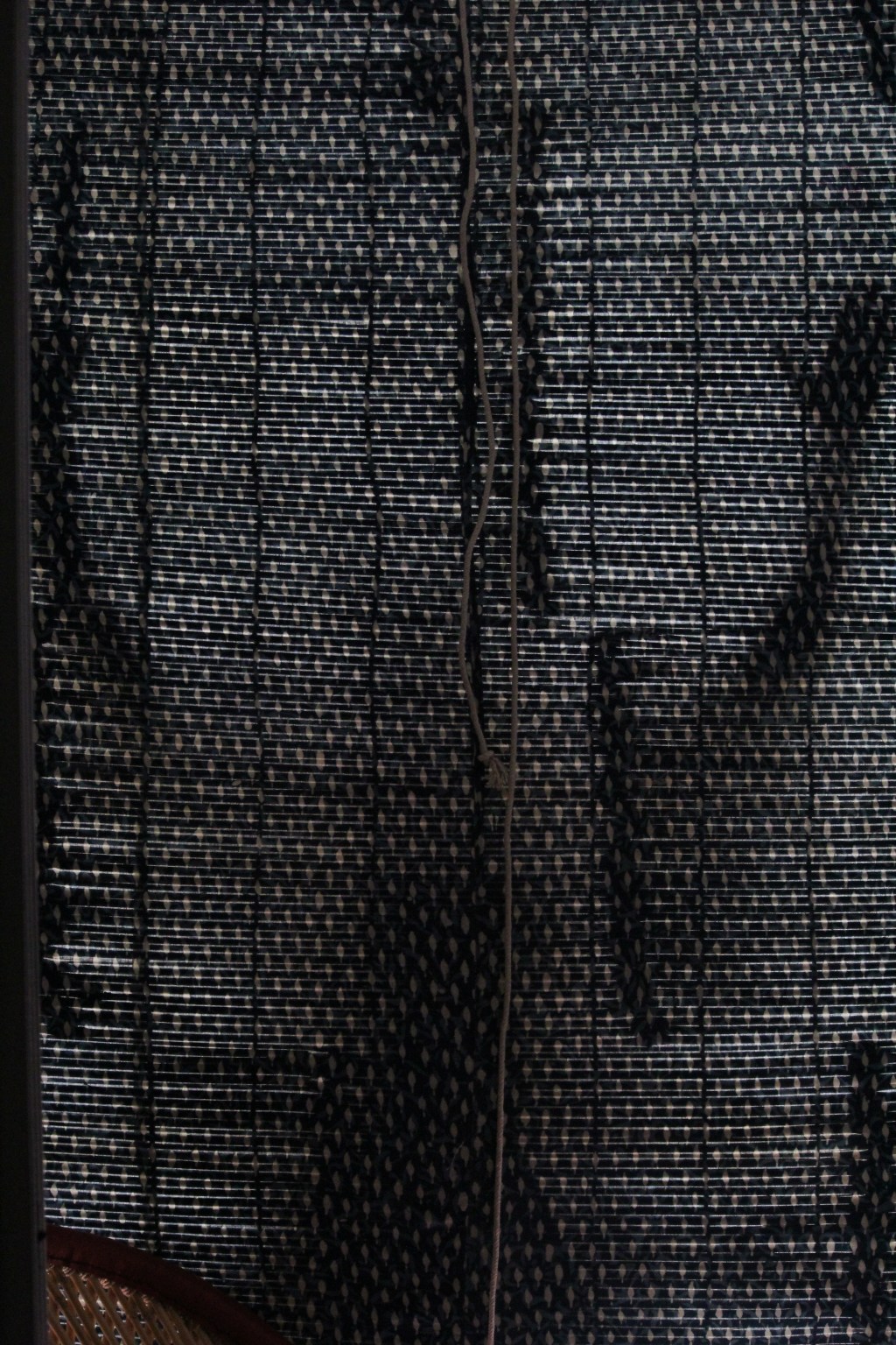 The Art of Falling (Blind Man) / Jamel&nbsp;Hall