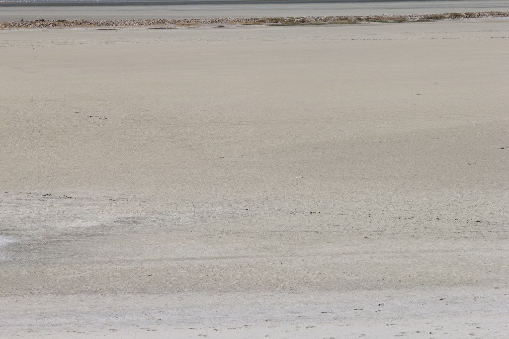 Ward A1 / Sushant&nbsp;Dhar