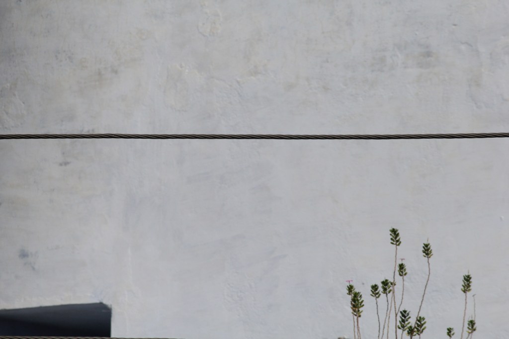 Scent / Poornima&nbsp;Laxmeshwar