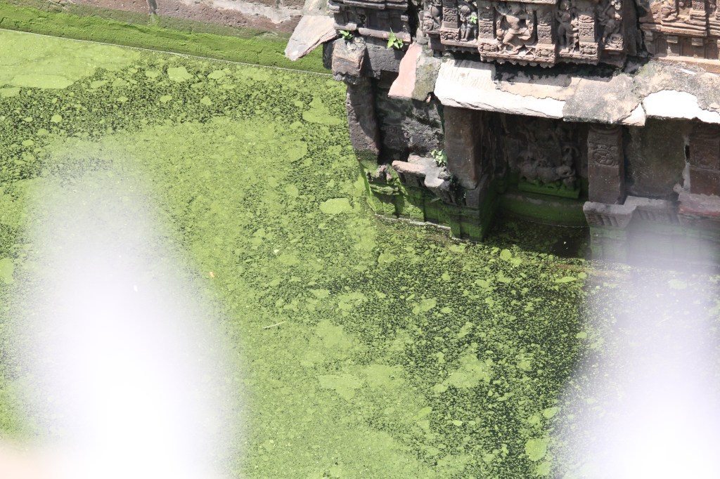 Untitled (In wait for an eclipse) / Tristan&nbsp;Foster