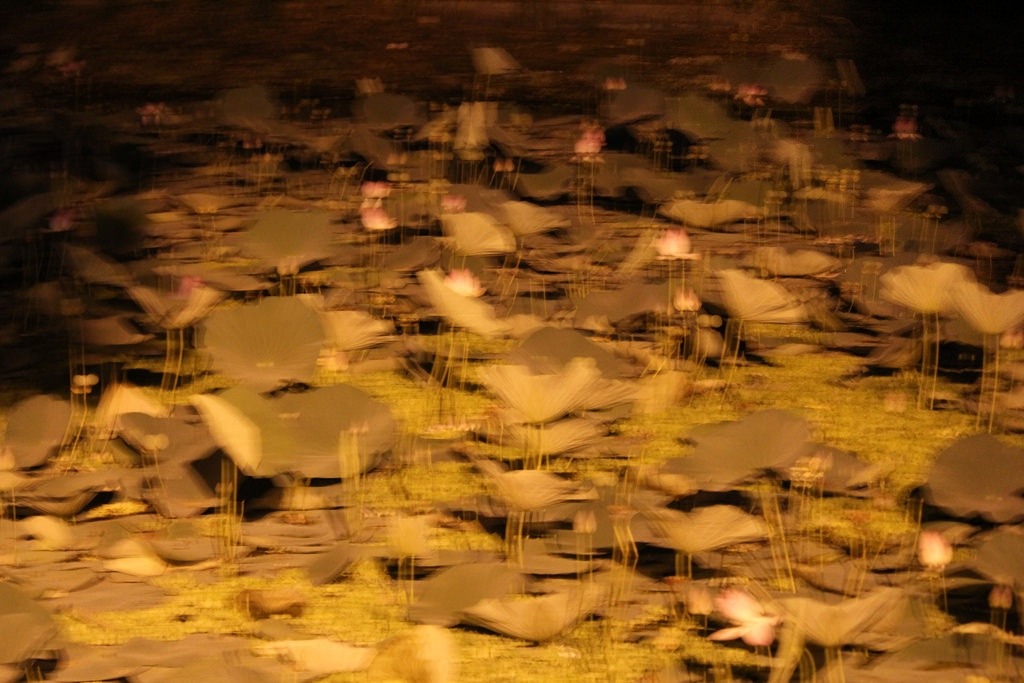 Visit / A.R.&nbsp;Tivadar