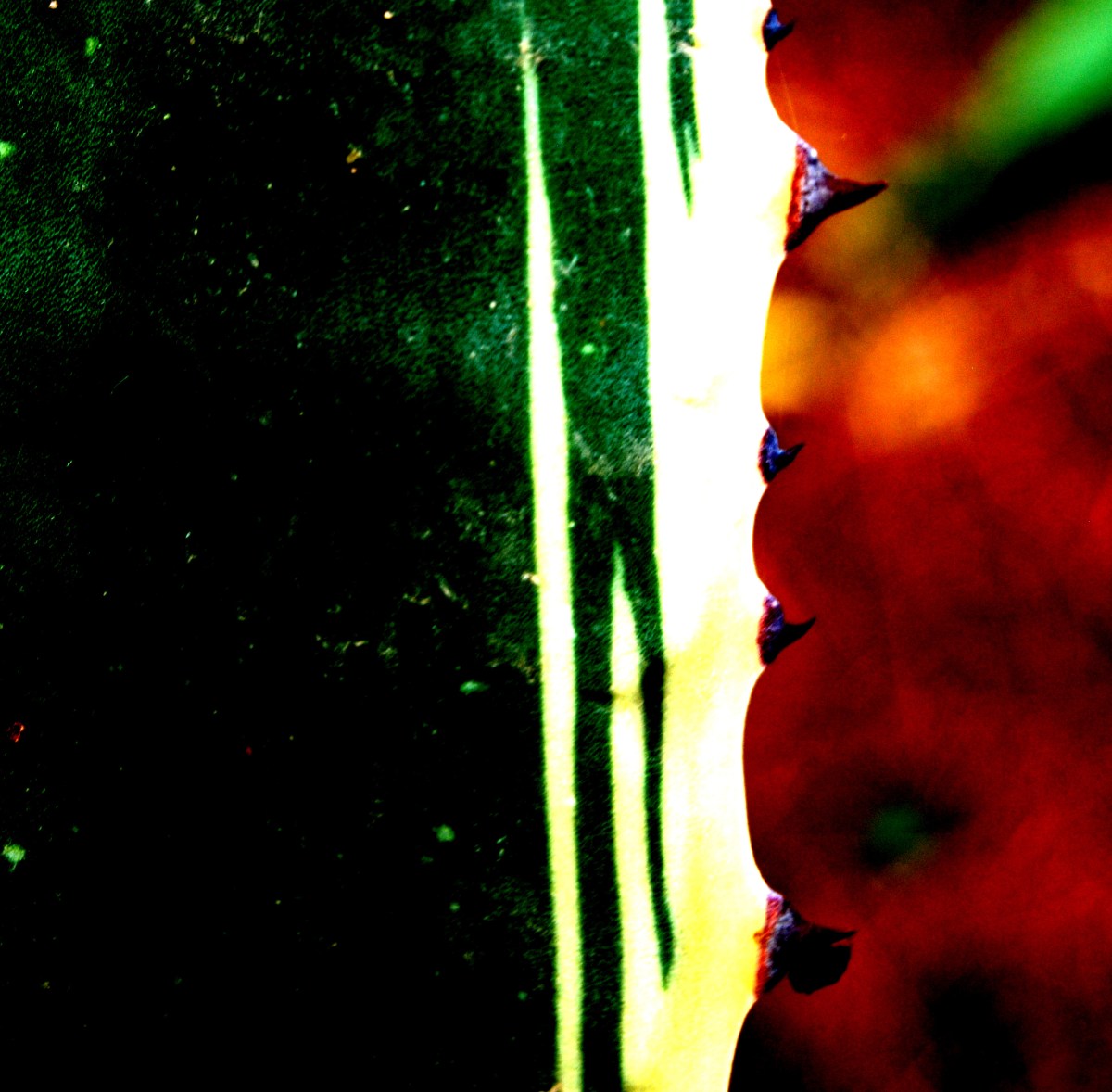 Images / Pepe Caracoles – RIC Journal