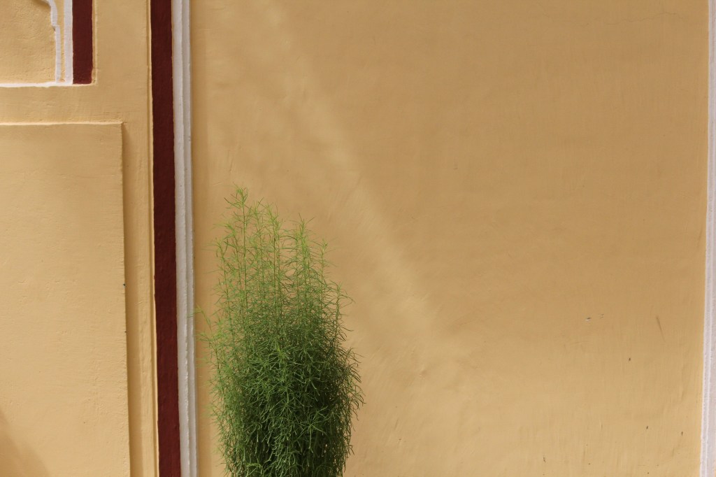 Grain / Simon&nbsp;Ravenscroft