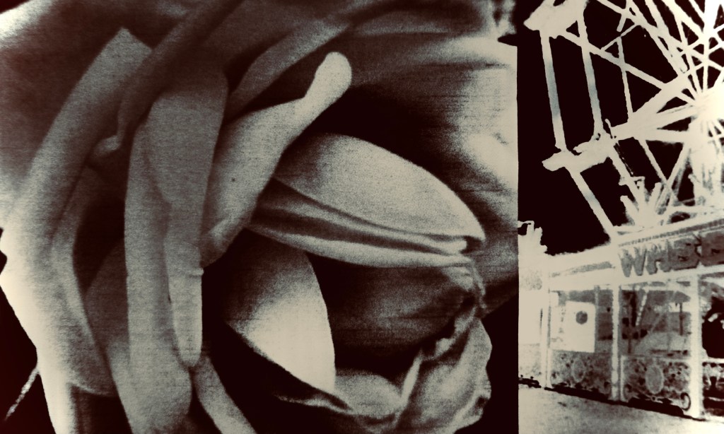 Revenge of the Lawn / Hiromi&nbsp;Suzuki