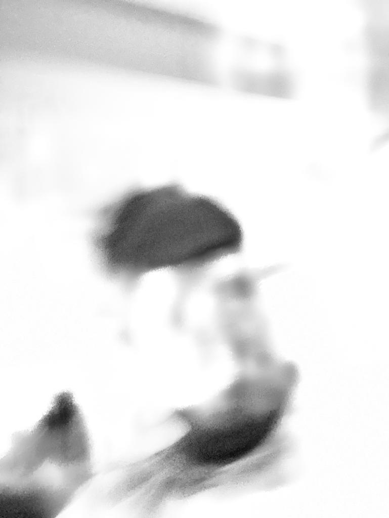 Are you there     somewhere / Naveen&nbsp;Kishore