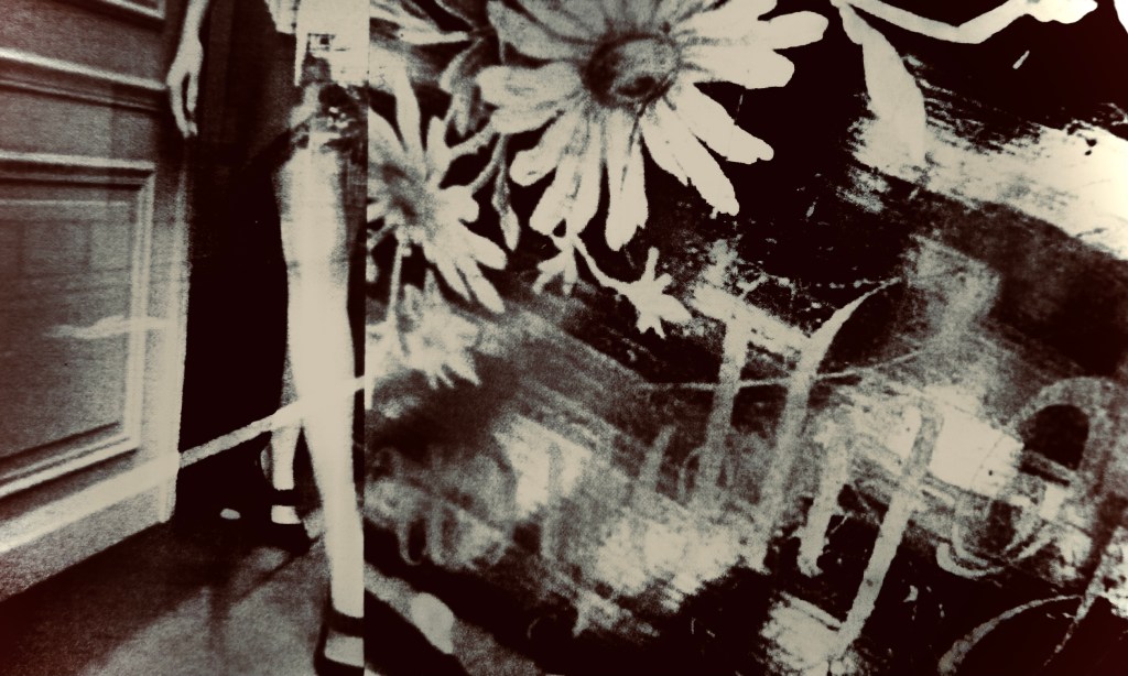 This image has an empty alt attribute; its file name is hotel-cactus-images-by-hiromi-suzuki-01.jpg