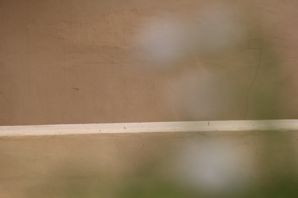 Angelus Novus / Eric T. Racher