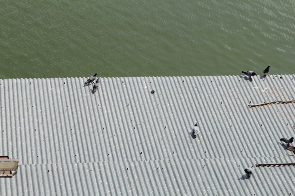 Hemispheres / Mark&nbsp;Young