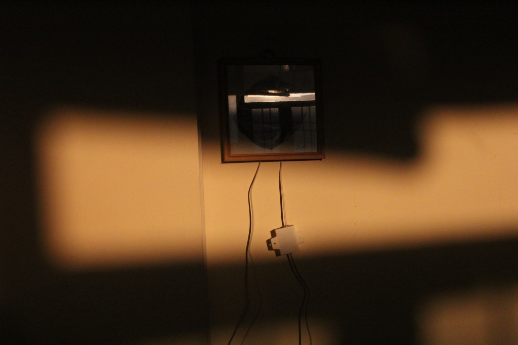 Untitled (The Dead Man’s Remorse) / Tristan Foster&nbsp;￼