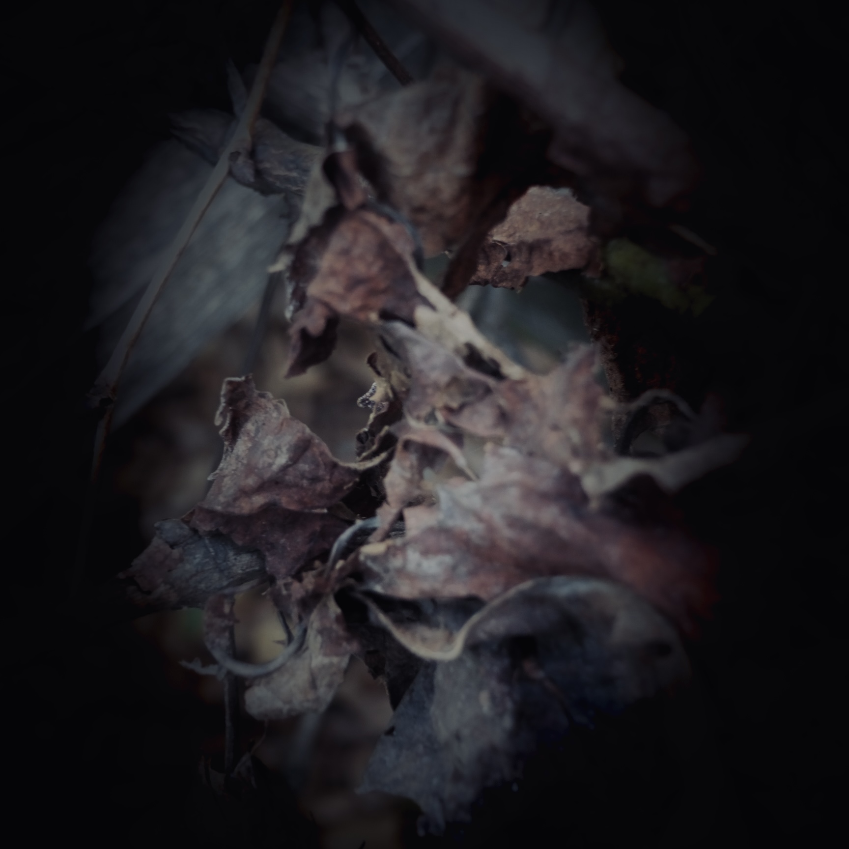 Vanishing Water / Hiromi Suzuki – RIC Journal