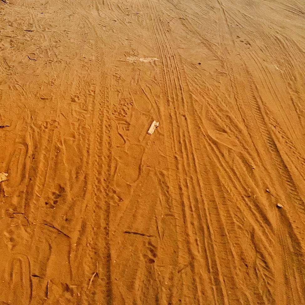 Hellegat / Lion&nbsp;Summerbell