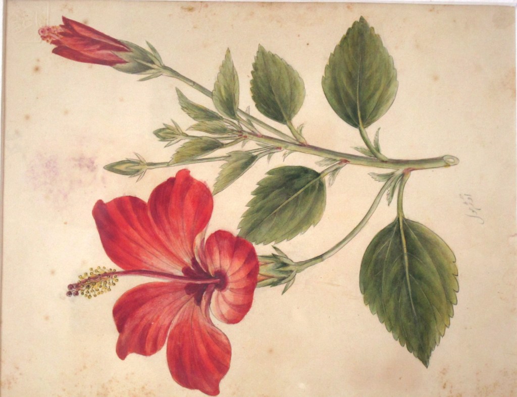 Poems / Rose&nbsp;Knapp