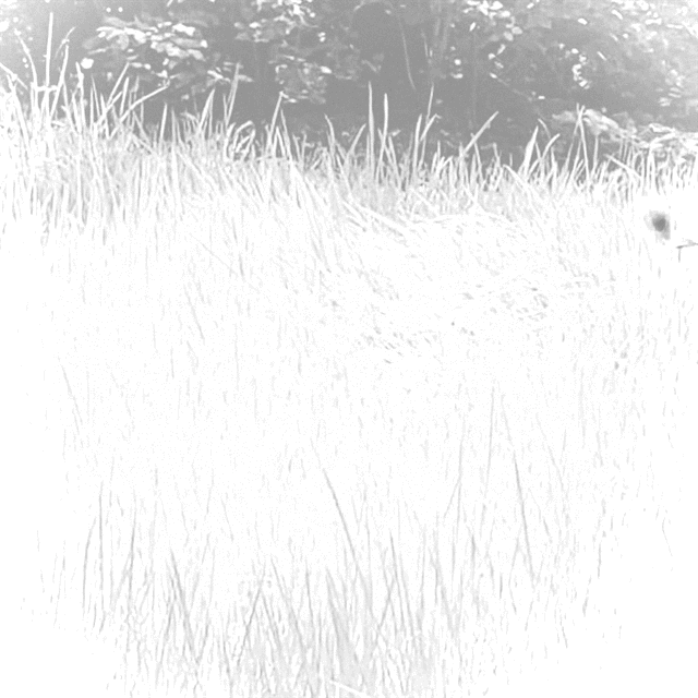 A Place Neither Here Nor There / Hiromi&nbsp;Suzuki