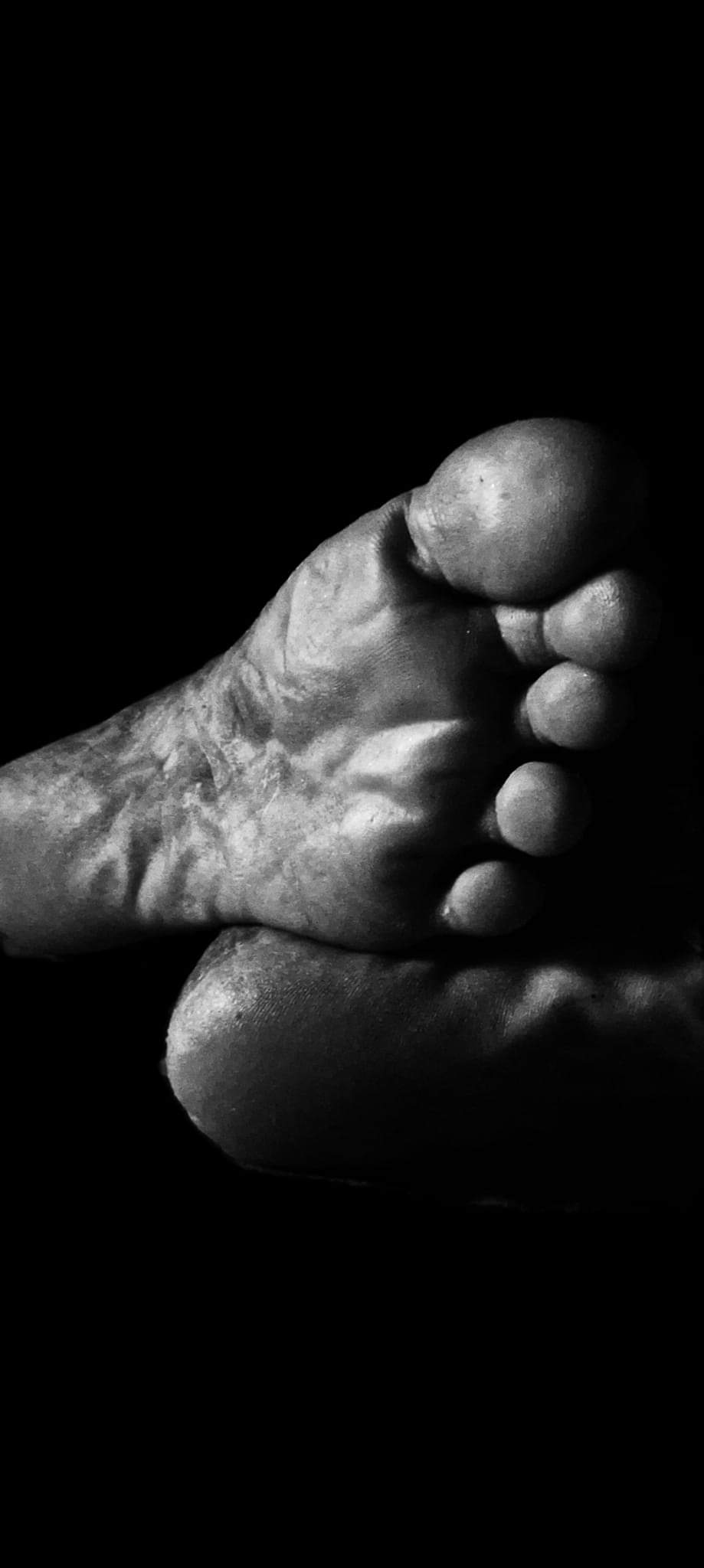 Here in this city of lost everything/ Ronald Tuhin D’Rozario