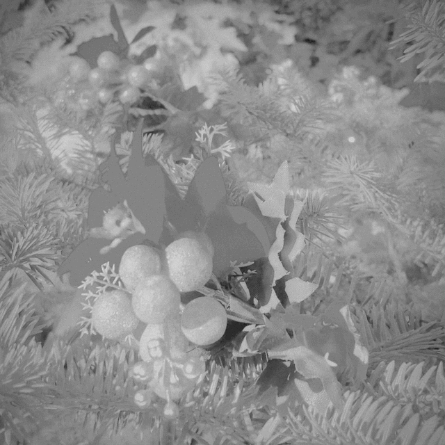 Twilight Banquet Standard Edition / Hiromi Suzuki