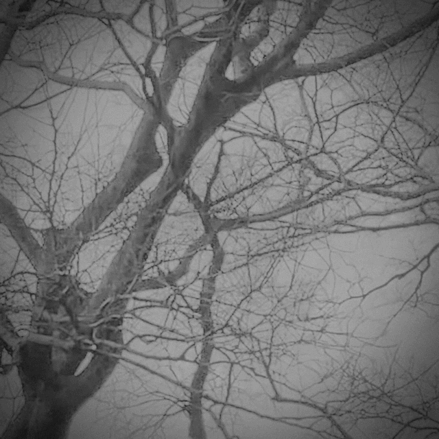 The Tower Pavilion / Hiromi Suzuki