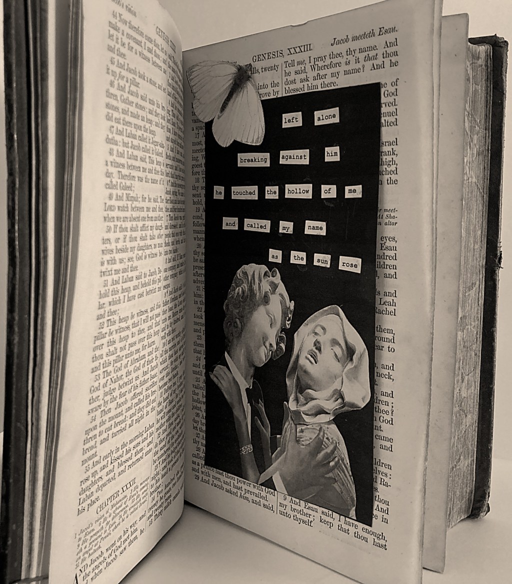 Tangles / Julia Biggs