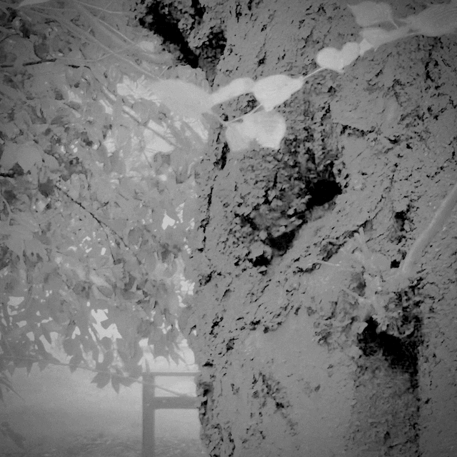 Midsummer Myths / Hiromi Suzuki