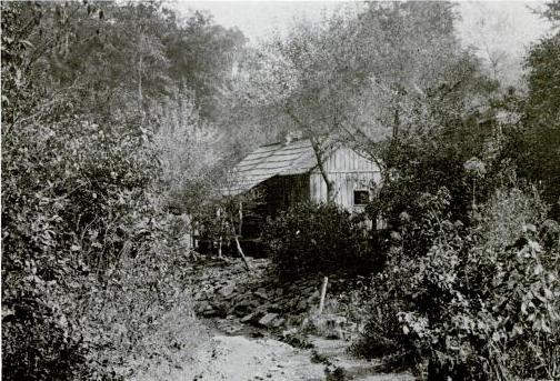 Appalachia Waltz / Atreyee Majumder