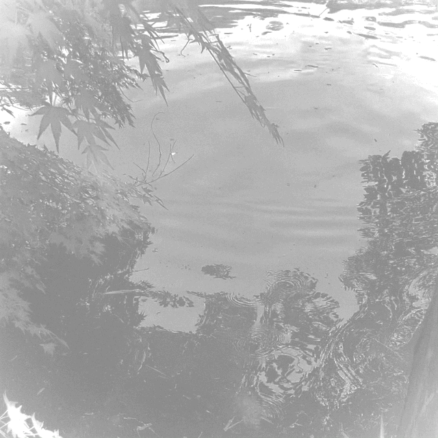 Regenerative memories / Hiromi Suzuki