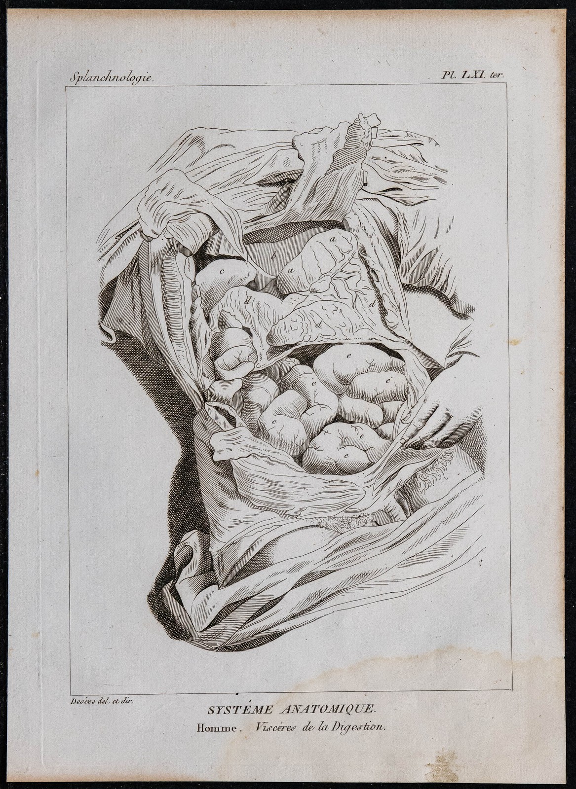 INTIMATE ANATOMY / CALL FOR SUBMISSIONS – RIC Journal