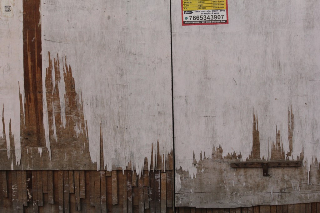 Dewombed / Beena E.&nbsp;S.