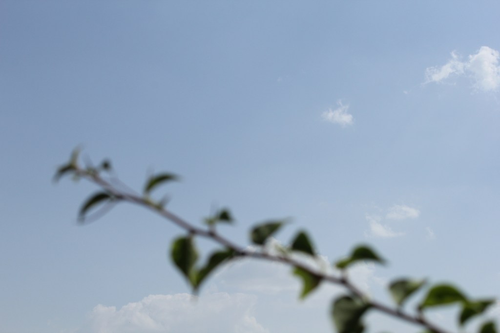 Untitled : a reverie / Ulrica&nbsp;Hume