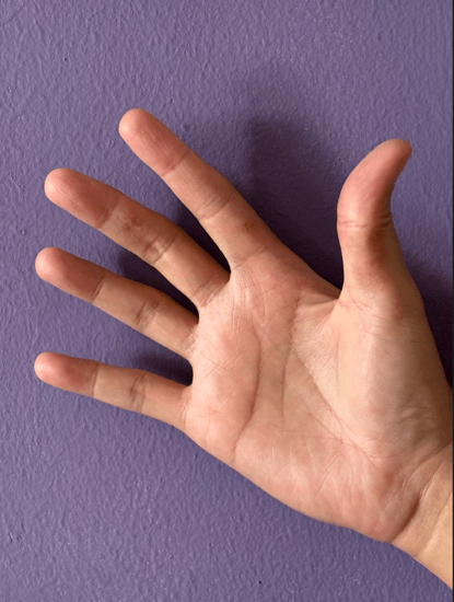 Scratchings / Jeremy&nbsp;Fernando