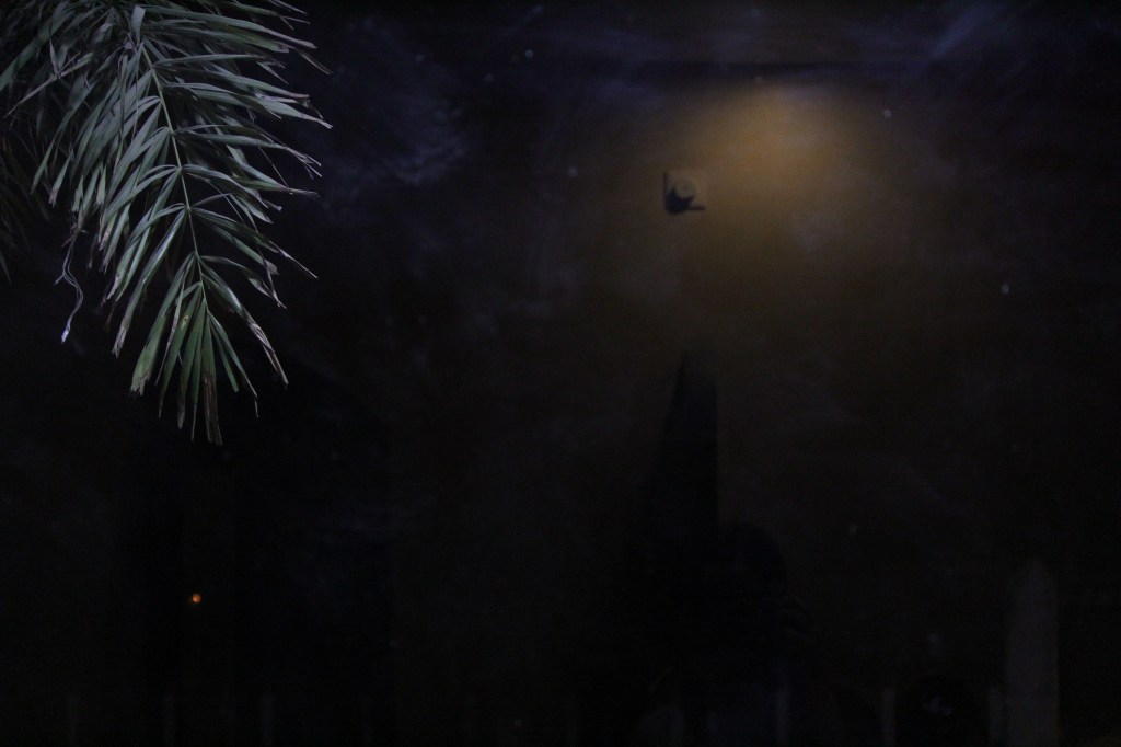 Pews / Erin&nbsp;Jamieson