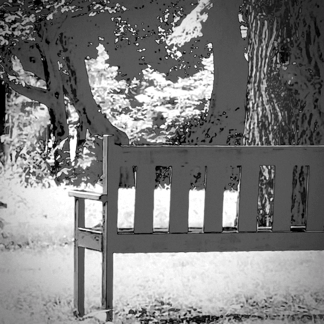 Scars and Stains / Hiromi&nbsp;Suzuki